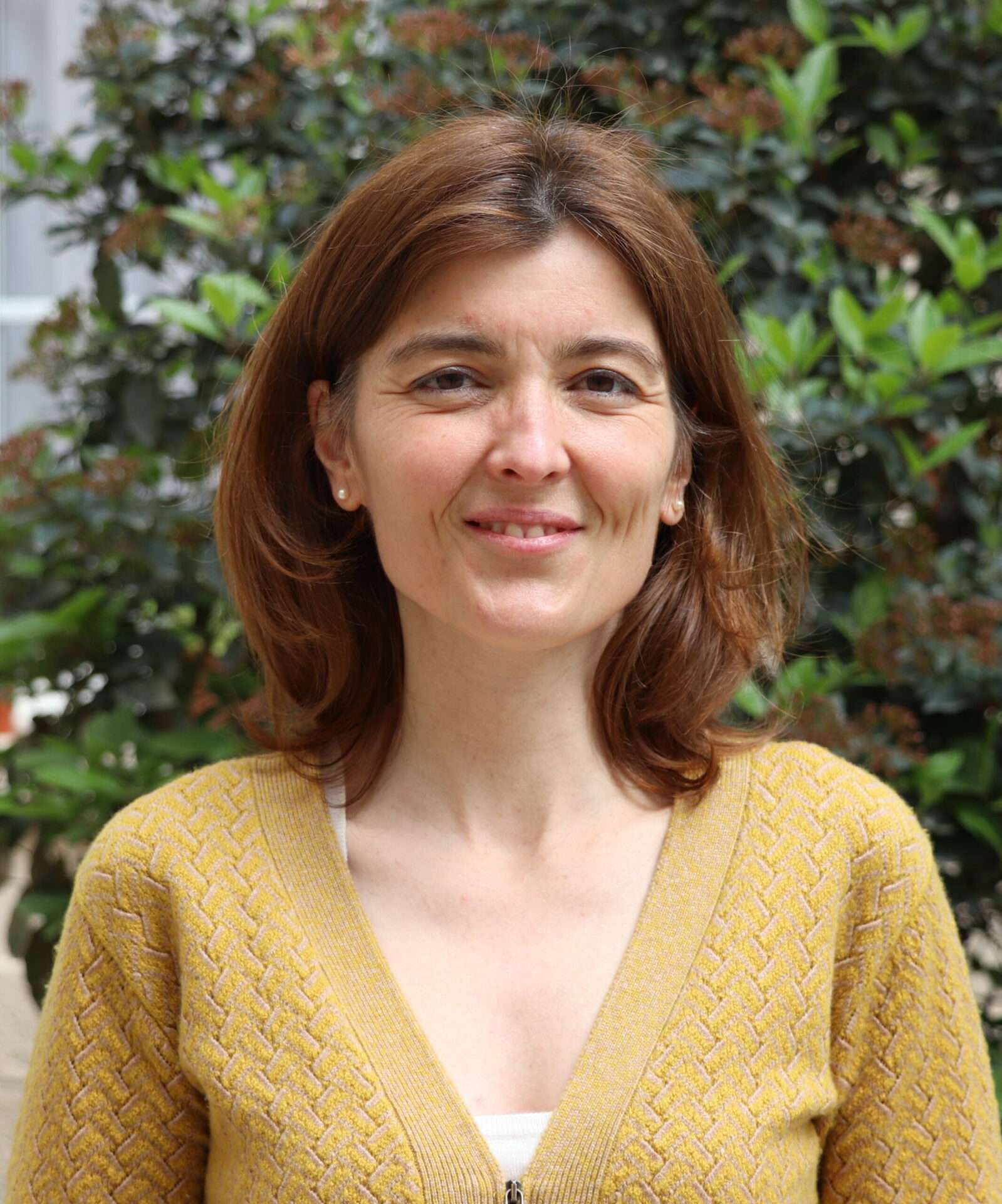 Laurence Pollet